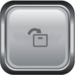 icon cargo acceptance