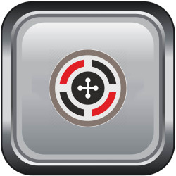 icon risk