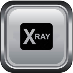 icon xray sim